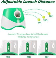 Indicateur LED automatique rechargeable par USB Lanceur de balles pour chien Distance de 10 à 30 pieds Jouet de mouvement interactif en plastique de style classique pour animaux de compagnie