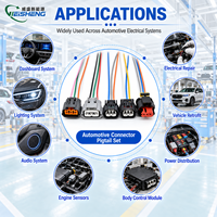 Faisceau de câbles automobile personnalisé avec connecteur étanche et kit de raccordement pour système électrique de voiture