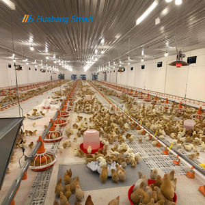 Vente chaude Nouveaux mangeoires en plastique PP pour animaux Garantie 1 an Mangeoires à poulet avec moteur pour l'élevage de volailles - Product Image 6