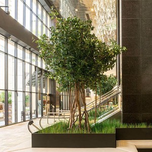 Tùy Chỉnh Trang Trí Trong Nhà Lớn Mô Phỏng Màu Xanh Lá Cây Rừng ngập mặn Cây Tầng Đứng Cây Nhân Tạo Cho Trung Tâm Mua Sắm Cửa Sổ Cho - Product Image 2