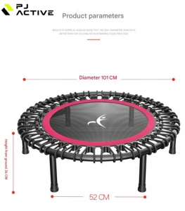 PINJIAN Indoor Small Rebound Exercise <strong>Trampoline</strong> Home Fitness Silent <strong>Mini</strong> 32 Inch Round <strong>Trampoline</strong> for Adults and Kids - Product Image 3