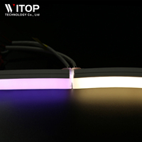 Bande lumineuse LED en silicone pour météorologie RVB, néon flexible 12V TM1934 SMD5050 RGB Breakpoint Continuation 16*16