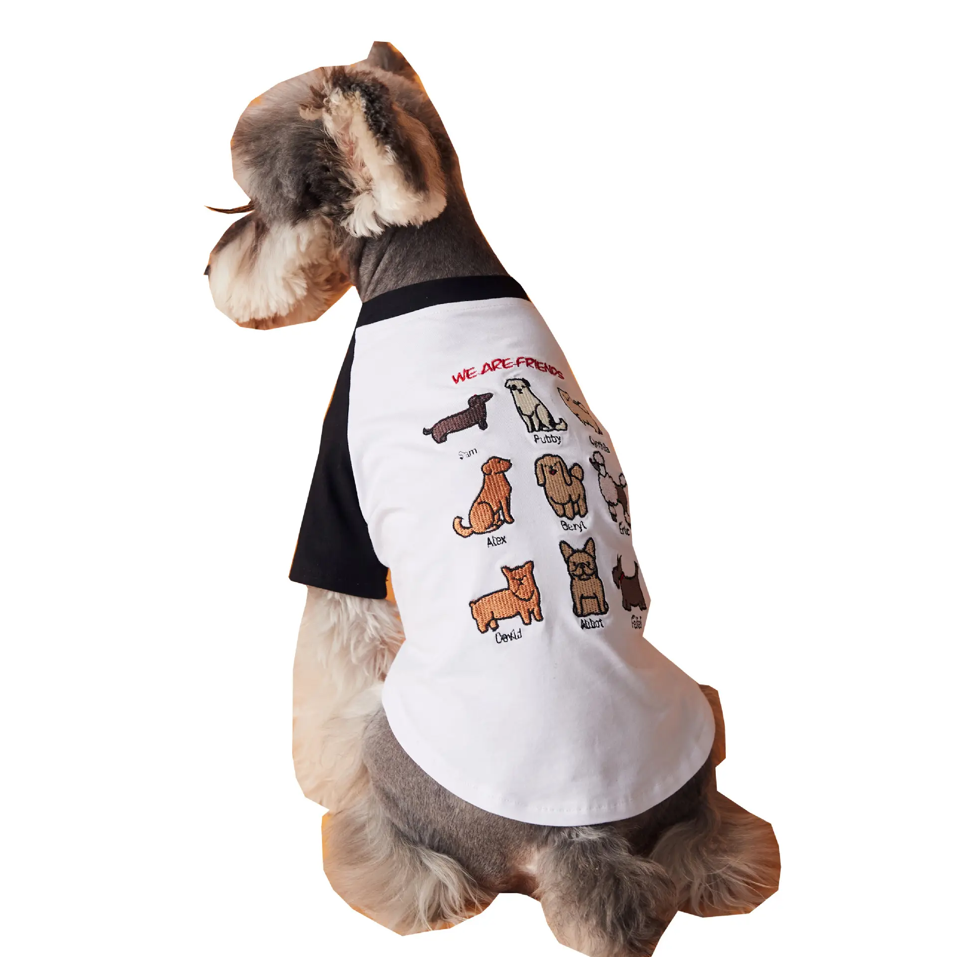 2023年新デザイン夏Tシャツ犬用ヨークシャーテディシュナウザーボームペット服