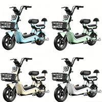 Vélo électrique à batterie au plomb 48V, vente directe d'usine, très demandé, pour adultes, idéal pour les trajets en ville