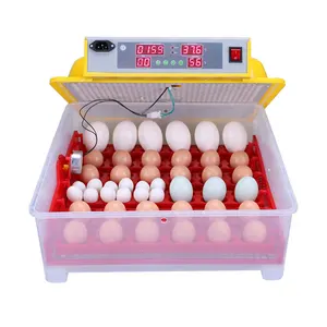 Mini incubatrice per uova completamente automatica a buon mercato in vendita