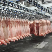 Équipement d'abattage de porcs entièrement automatique, machines d'abattoir de porcs, abattoir mobile pour porcs, machine de transformation