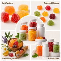 Gummies sans sucre à absorption rapide de glycinate de magnésium et vitamine D & coenzyme Q10 pour la relaxation, le soulagement du stress et le soutien du sommeil