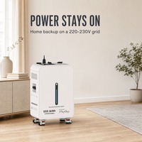Générateur solaire à onde sinusoïdale pure 6200W, stockage d'énergie tout-en-un 5120Wh LiFePO4, charge rapide 4000W, 6000 cycles