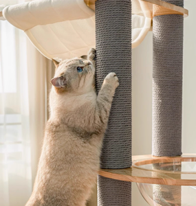 جهاز مشي فاخر للحيوانات الأليفة، برج تسلق للقطط مع عمود حبل من الورق المقوى وعمود سيزال وخشب مطاطي وعجلة تمارين - Product Image 4