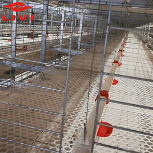 Jaulas para Pollos <span class=keywords><strong>de</strong></span> Engorde <span class=keywords><strong>de</strong></span> Primera Calidad <span class=keywords><strong>en</strong></span> China, Jaulas <span class=keywords><strong>en</strong></span> Batería para la <span class=keywords><strong>Venta</strong></span> con Diseño <span class=keywords><strong>de</strong></span> Gallinero Galvanizado para Granjas Avícolas - Product Image 2