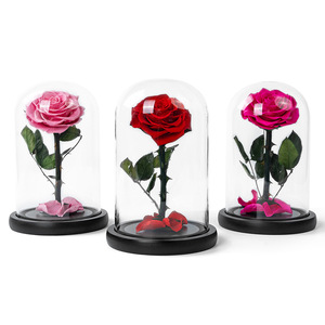Caja de regalo con cubierta de cristal del Principito PARA EL Día DE LA Madre, Día de San Valentín, rojo, rosa, nunca se desvanecen, flores de regalo para regalos de fiesta - Product Image 5