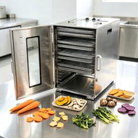 Commerciële RVS Voedseldehydrator met Meerdere Trays voor Fruit, Groenten, Vlees en Gedroogd Vlees