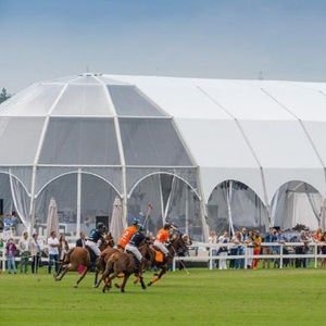 Gran cúpula marco de acero casa Feria Comercial casa cúpula - Product Image 4