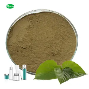 Extrait de feuilles de mûrier séchées Poudre de chlorophyle Feuille de mûrier DNJ Cosmétique biologique