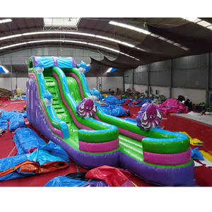 Tobogán Inflable de PVC Resistente para Parque Acuático, Diseño Nuevo a Precio de Fábrica, Tobogán Inflable de Medusas para Niños y Adultos - Product Image 6