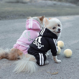 Accessori per animali domestici felpa con cappuccio per cani di lusso Ropa Para Perros Tendencia Mascotas De Perro Buena Calidad <span class=keywords><strong>Primavera</strong></span> Verano - Product Image 3