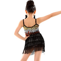 Dpw119 Robe de danse latine Tassel Dancewear Salsa Ballroom Performance Costume