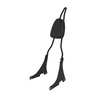 Dosseret passager arrière de moto détachable avec coussin pour Harley Sportster XL Iron 883 1200 48 Roadster 04-22