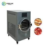 Miniatuur huishoudelijke roestvrijstalen kleine vriesdroogmachine voor het maken van groenten, kleine vriesdroogmachine