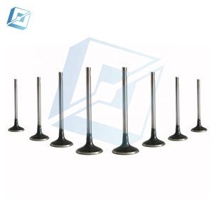 Válvulas de Admisión y Escape y Taqués de Válvulas para Motor Land Rover 5.0T V8 ENG 508PS, Originales, LR010863 y LR010698 - Product Image 5