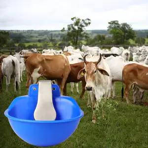 Durable Copper Valve Sheep Water Feeder Bowl Automatic Touching Control Green Plastic Sheep Goat Water Drinking Bowl