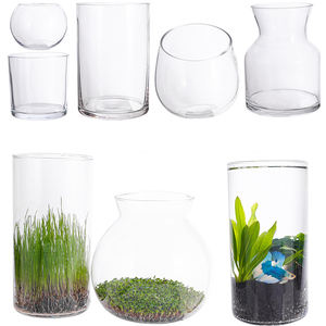 Pecera de Vidrio Ecológica de 1.5L, Pecera Pequeña Creativa de Escritorio para Celebridades de Internet, Tanque de Agua Real con Semillas de Hierba para Decoración de Paisajes - Product Image 1