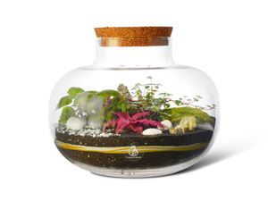 Modern 22cm Glass Jar DIY <strong>Terrarium</strong> Kit with Artificial Flower Decorations Mini Pots for Outdoor Home Use <strong>Complete</strong> Kit for Floor