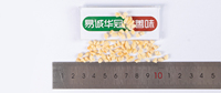 Noisettes grillées en dés 2-4 mm, largement utilisées dans les produits de boulangerie tels que les gâteaux, les biscuits, le pain, les pâtisseries et les mooncakes. Carton de 10 kg.