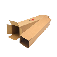 Boîte en carton LED personnalisée Tube rectangulaire Kraft Cadeau Carton d'emballage ondulé mince plat Express Mailer Boîte d'expédition