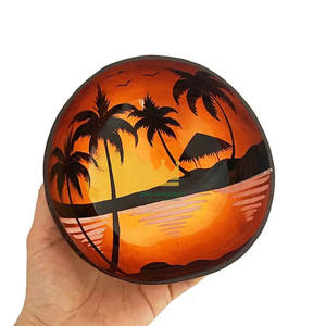 Tazón de Lacado de Coco Colorido, Reutilizable, Estilo Clásico, Ecológico, Duradero, Ligero, Técnica Artesanal, Personalizado, Económico - Product Image 1