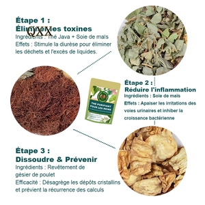 Tè Detox Renale e Tonificante - <span class=keywords><strong>Infuso</strong></span> di <span class=keywords><strong>Erbe</strong></span> e Seta di Mais per la Salute Renale - Product Image 3
