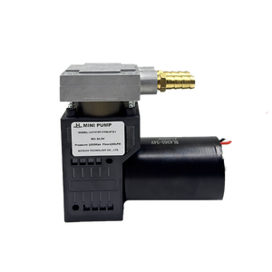 Customizable 30 L/M High Pressure Mini Aluminum Piston <strong>Pumps</strong> 24V Maintenance Free Beauty Machining OEM Customized Support - Product Image 2