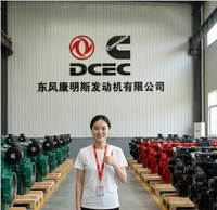Repuestos Originales Cummins DCEC para Motor, Números de Pieza 3095773, 3031385, 3011884, 3177103-3634643, 3804863