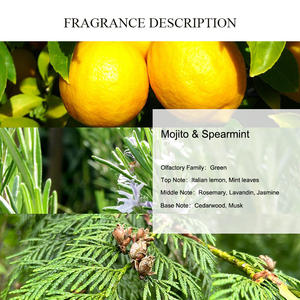 Difüzör yağ yılında kullanılan benzersiz AROMA Mojito & mint mint limon kokusu Aroma YAYICI yağ uzun ömürlü ve iyi koku ürünü - Product Image 2