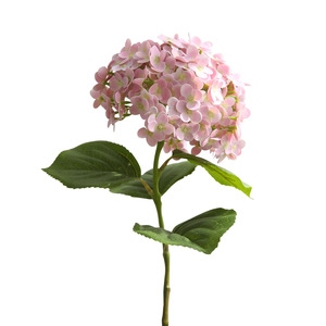 ดอกไฮเดรนเยียประดิษฐ์จากไหมสีฟ้าเขียว ยี่ห้อ Yihua Floral Art สำหรับตกแต่งบ้าน กิ่งเดี่ยว สไตล์โมเดิร์นเรียบง่าย - Product Image 3