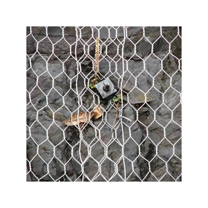 Galvanized <strong>Hexagonal</strong> Hole Shape Welded Wire Mesh Gabion Slope Protection Stone Cage <strong>Net</strong> for Retaining Wall Fence Woven Cutting - Product Image 1