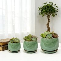 Pots à succulentes en céramique au design moderne et épuré, pots à cactus pour bureau et table, pot de fleurs d'usine