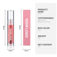 Lipgloss Mineral Glossy Tahan Lama Label Pribadi Grosir, Pigmentasi Tinggi, Tahan Air, Melembapkan, Vegan, Logo Custom
