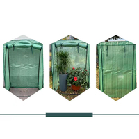 Tente de serre en PVC Portable pour l'extérieur Mini plantes à fleurs chaudes étanche petit cadre maison de plantes en bois pour la culture
