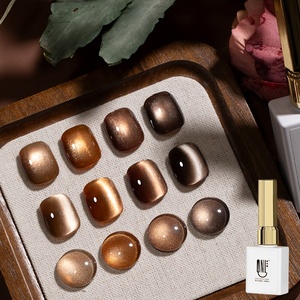 R S Nail 9ml Caramel Brun Café Chat Gel Magnétique Nail Supplies Automne Eau Lumière Cat Eye Gel Vernis Nail Art Vernis - Product Image 1