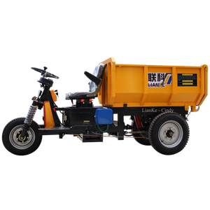LK125 Camión Volquete de Carga Tipo Tuk Tuk de 800 mm de Ancho, Camioneta Volquete, Triciclo Volquete de Carga de 3 Ruedas en Perú - Product Image 6