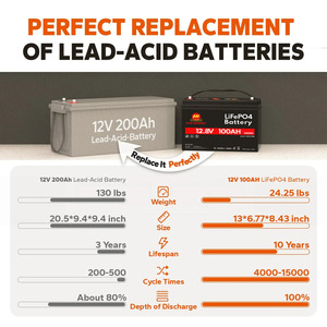 深循环电动船锂电池12v 24v 36v 48v 100ah 200ah 300ah 400ah电动船电机发动机推进器电池 - Product Image 6