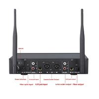 Microphone sans fil BHA N223+096 double canal avec port fibre optique et effets DSP pour le chant sur scène, prix de gros usine, OEM CE