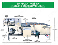 Goedkoopste groente- en fruitwasmachine industriële wortelwasmachine erwtenwasmachine