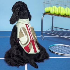 Chaleco Refrigerante de Doble Uso, Seco y Húmedo, para Alivio del Calor, Duradero, Delgado, Ecológico, de Poliéster, para Perros <span class=keywords><strong>Basset</strong></span> <span class=keywords><strong>Hound</strong></span> - Product Image 4