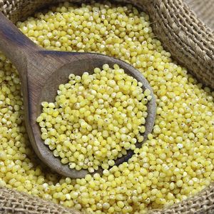 <span class=keywords><strong>Miglio</strong></span> Giallo Decorticato 100% Biologico, Grano Integrale Naturale Senza Glutine per Porridge e Cucina Salutare - Product Image 3