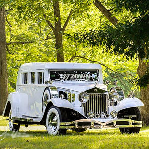 عربة خيول كهربائية لنقل الجثث - هيكل فولاذي جديد - Product Image 6