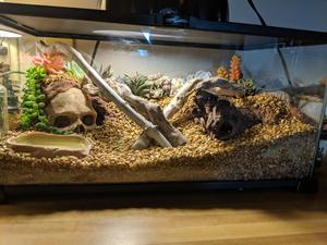 Transparent Hamster Verre Maison Terrarium 1 Pièce <span class=keywords><strong>Pas</strong></span> <span class=keywords><strong>Cher</strong></span> Grandes Cages Gigantesque Pour <span class=keywords><strong>Grande</strong></span> <span class=keywords><strong>Lapin</strong></span> Hutch Grand Hamster <span class=keywords><strong>Cage</strong></span> - Product Image 6