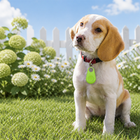 Traceur GPS Bluetooth pour chien et chat, conception verrouillable double face, fonctionnalités intelligentes, compatible Android et iOS, autonomie de 10 à 20 heures