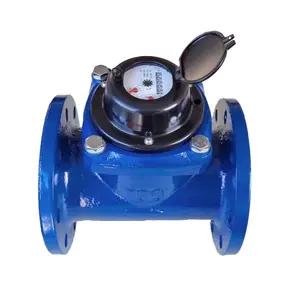 Class B Woltman flange pulse output industrial digital water meter mechanism